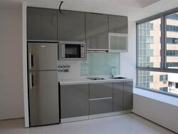 Lumiere (D2), Apartment #574721231